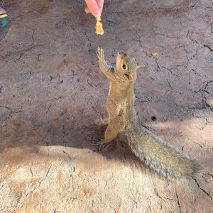 Meet your Posher, Chad